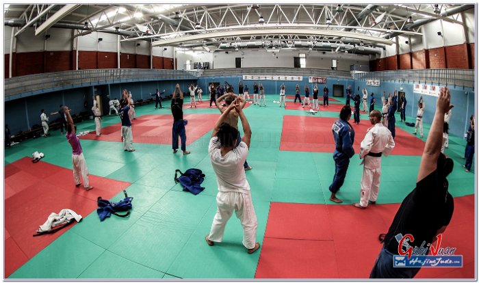 STAGE JUDO MADRID 14 00108